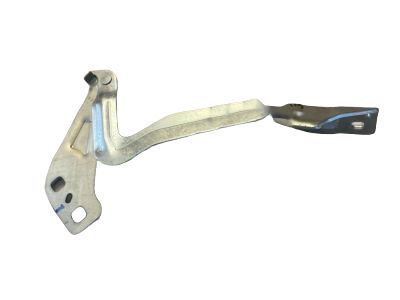 Ford DS7Z-16796-A Hinge Assembly - Hood