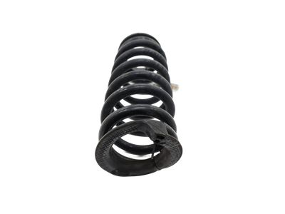 Lincoln Nautilus Coil Springs - K2GZ-5560-Z