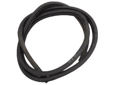 2019 Ford Escape Weather Strip - CJ5Z-78253A11-B