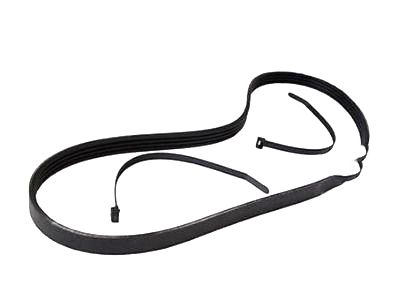 Lincoln Serpentine Belt - BT4Z-8620-B