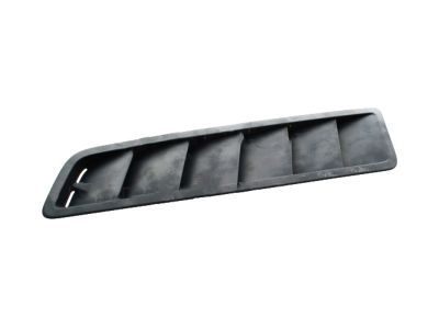 Ford DR3Z-16C630-ABPTM Scoop Assembly - Hood