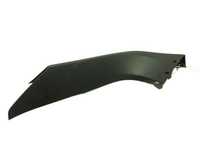 Ford FT4Z-5842410-AA Moulding