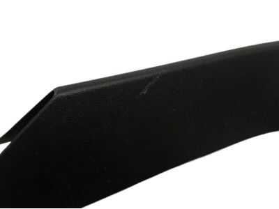 Ford FT4Z-5842410-AA Moulding