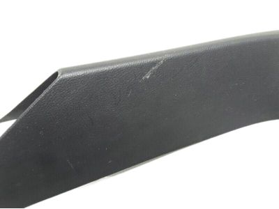 Ford FT4Z-5842410-AA Moulding