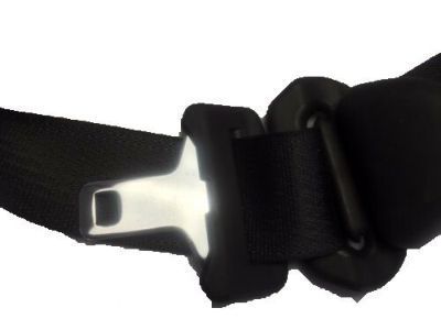 Ford 3W7Z-54611B09-AAA Seat Belt Assembly