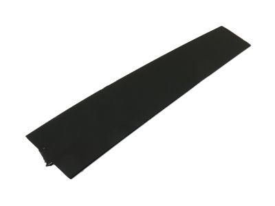 CG1Z-5420555-CB Ford Door Outside Moulding Product Photo 1 of 1