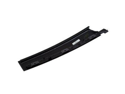 Ford CP9Z-5820554-A Moulding - Door Outside