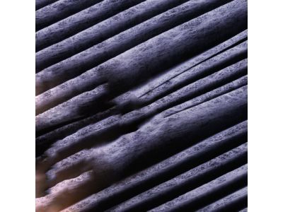 Genuine Ford Air Filter 1072246 – For Transit Connect 1.8 TDCi (06.02–12.13) 90HP, OE 98AX-9601-AA