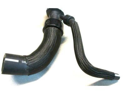 Ford DB5Z-8260-C Hose - Radiator