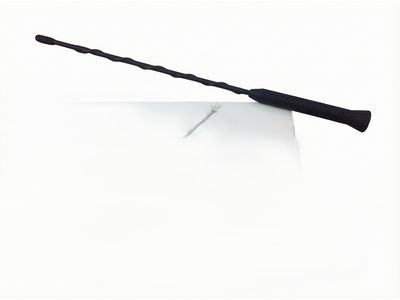 Lincoln MKX Antenna - CT4Z-18813-A