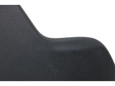 Lincoln FP5Z-10A855-AA