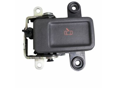 Lincoln Door Handle - LC5Z-5422601-AE