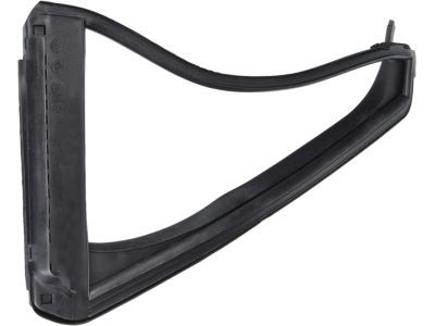 Ford DT4Z-7829905-A Weatherstrip - Quarter Window