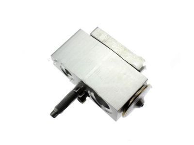 Ford A/C Expansion Valve - DR3Z-19849-A