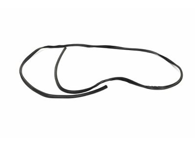 Ford E-Transit Weather Strip - EK4Z-61253A10-G