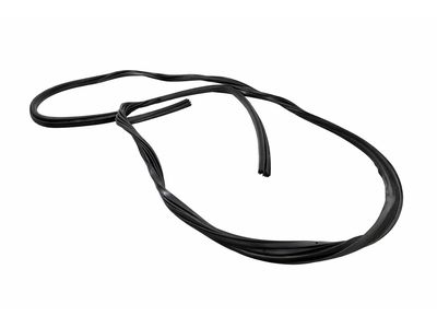 Ford E-Transit Weather Strip - EK4Z-61253A10-G