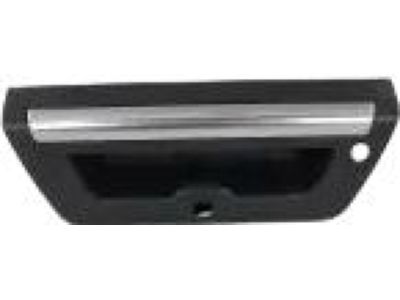 2016 Ford F-150 Tailgate Handle - FL3Z-9943400-LAPTM