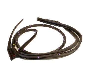 Ford 5F9Z-7425324-AC Weatherstrip