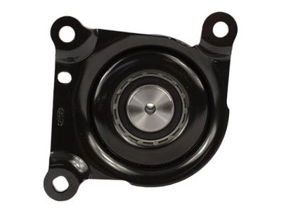 Ford CC1Z-8678-A Kit - Tension Pulley