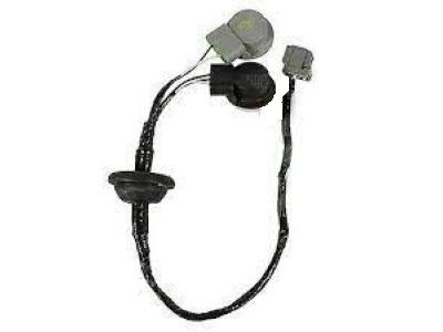 Ford Light Socket - BB5Z-13410-A