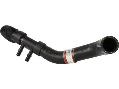 Ford Radiator Hose - 8A8Z-8286-A