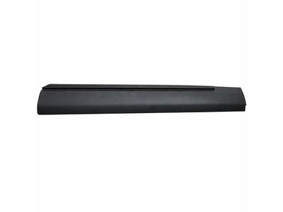LB5Z-7820878-AC Ford Door Outside Moulding Product Photo 2 of 4
