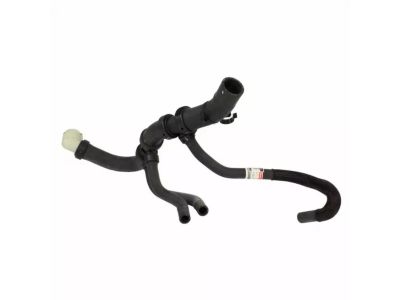 2017 Ford F-150 Radiator Hose - HL3Z-8286-C