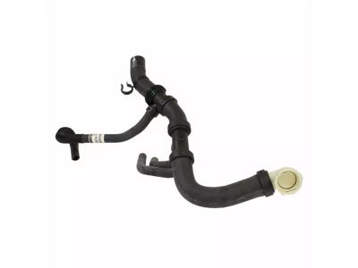 2017 Ford F-150 Radiator Hose - HL3Z-8286-C