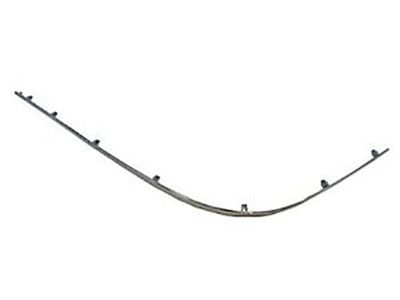 Ford 3W1Z-17C830-AA Moulding - Bumper Bar