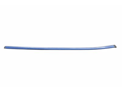 LJ6Z-7825861-A Ford Door Belt Weatherstrip Product Photo 1 of 4