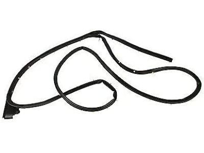 Ford FL3Z-1625324-A Weatherstrip