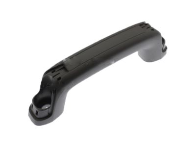 2022 Ford Transit Door Handle - BK2Z-6131406-AE