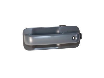 Ford FL3Z-1522405-HEPTM HANDLE ASY - DOOR - OUTER