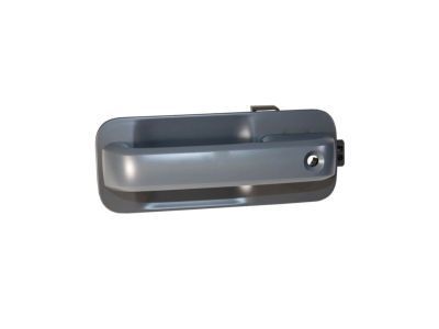 2018 Ford F-150 Door Handle - FL3Z-1522405-HEPTM