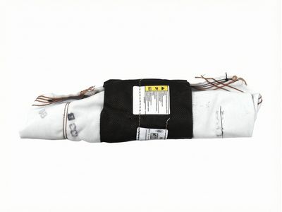 2016 Ford C-Max Air Bag - DM5Z-54611D10-A