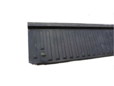 Ford BC3Z-9900124-A Panel Assembly - Body Front