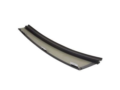 Ford 4W1Z-54255A34-AAA Moulding