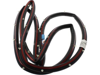 Ford BM5Z-58253A10-A Weatherstrip - Door Opening