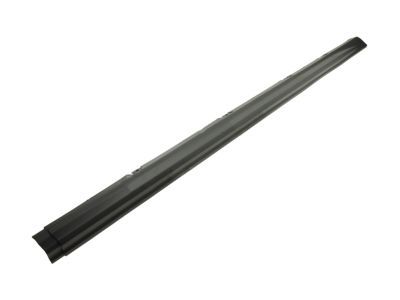 Ford BK3Z-6110176-AC Moulding