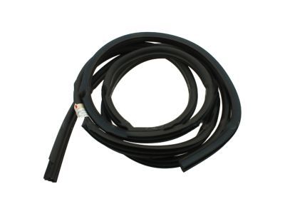 Ford BL3Z-1820709-B Door Opening Weatherstrip Assembly BL3Z-1820709-B Ford Door Opening Weatherstrip Assembly Product Photo 1 of 1