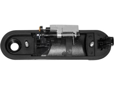 2010 Ford Explorer Sport Trac Door Handle - 6L2Z-7822405-AA