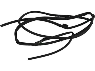 Lincoln MKS Door Seal - 8A5Z-5425325-A