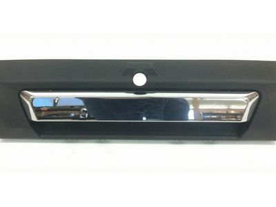 2019 Ford F-550 Super Duty Tailgate Handle - HC3Z-9943400-PB