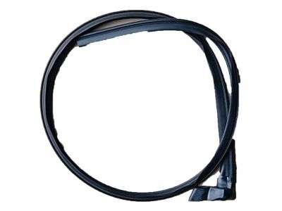 2010 Mercury Mariner Weather Strip - 9L8Z-7851222-A