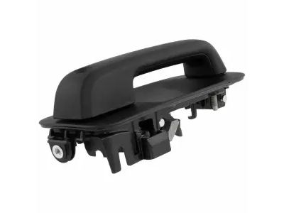 2020 Ford F-150 Door Handle - FL3Z-1522405-AJ