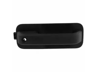 2020 Ford F-150 Door Handle - FL3Z-1522405-AJ
