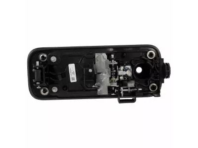 2020 Ford F-150 Door Handle - FL3Z-1522405-AJ