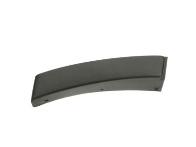 Ford YL8Z-7829038-DAB Moulding