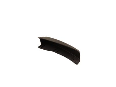 Ford YL8Z-7829038-DAB Moulding