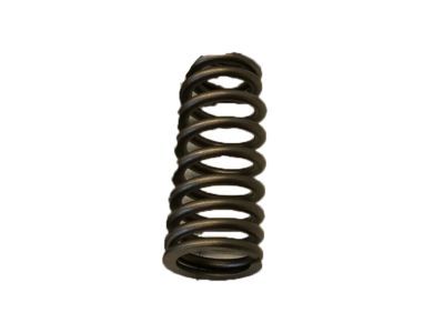 Ford AA5Z-6513-A Spring - Valve